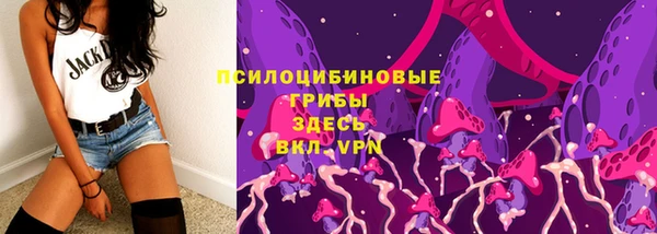 ешки Верхний Тагил