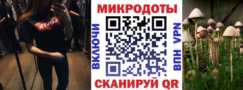 Псилоцибиновые грибы Psilocybine cubensis  Купить  Лахденпохья 